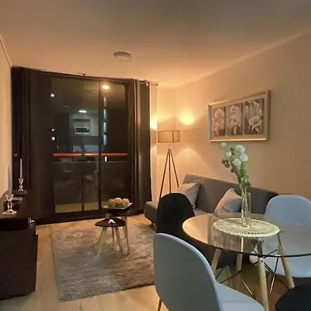 Departamento Comodo En Santiago